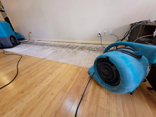 Professional Structural Drying technician working in Hampton, SC